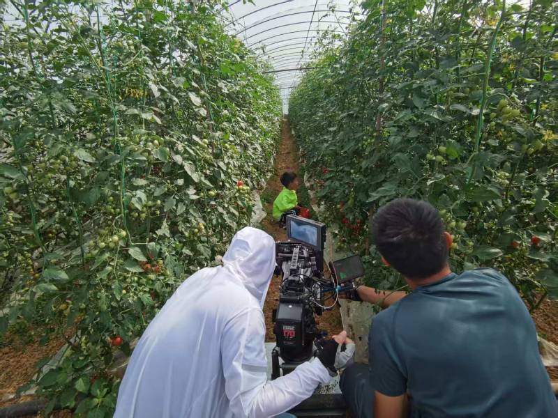 邯郸县产品宣传视频拍摄公司进阶指南，助力品牌抢占传播高地